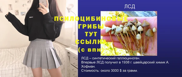 МДПВ Алексеевка