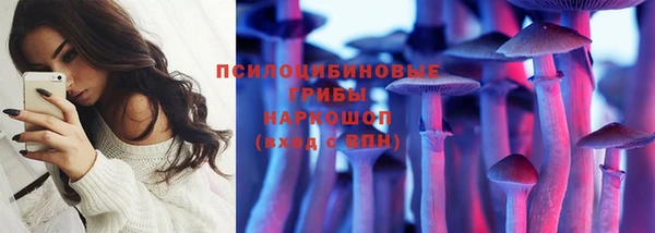 МДПВ Алексеевка